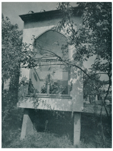 ImmaginePag11